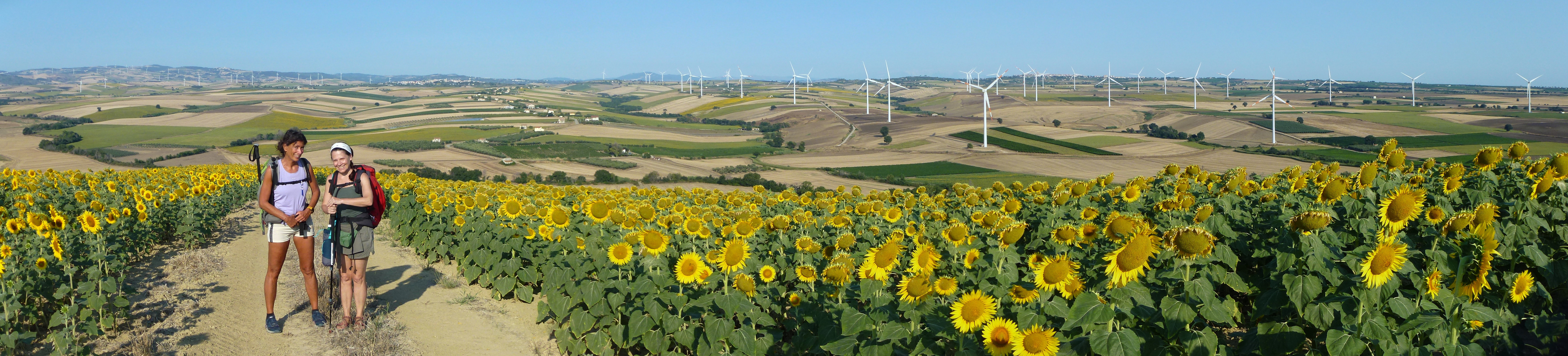 4 - Von Serracapriola nach San Martino in Pensilis